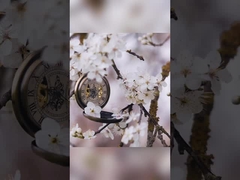 Lily Rose Osmanthus răng kem đánh trắng răng trong bao bì giấy trắng 400g